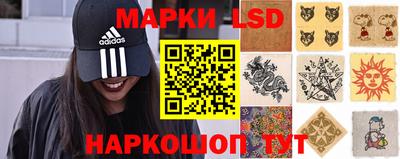 прущие грибы Пенза