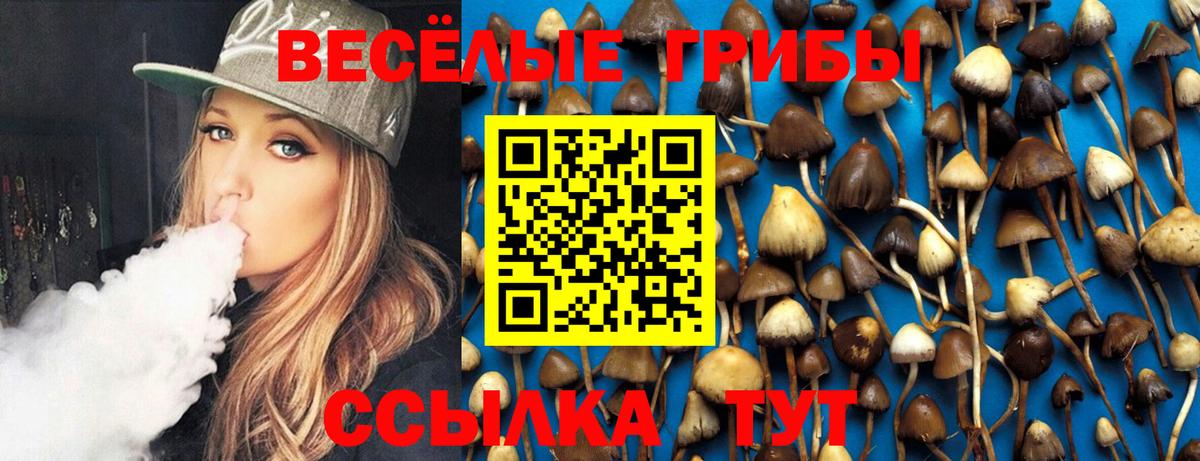 Псилоцибиновые грибы Cubensis Сертолово